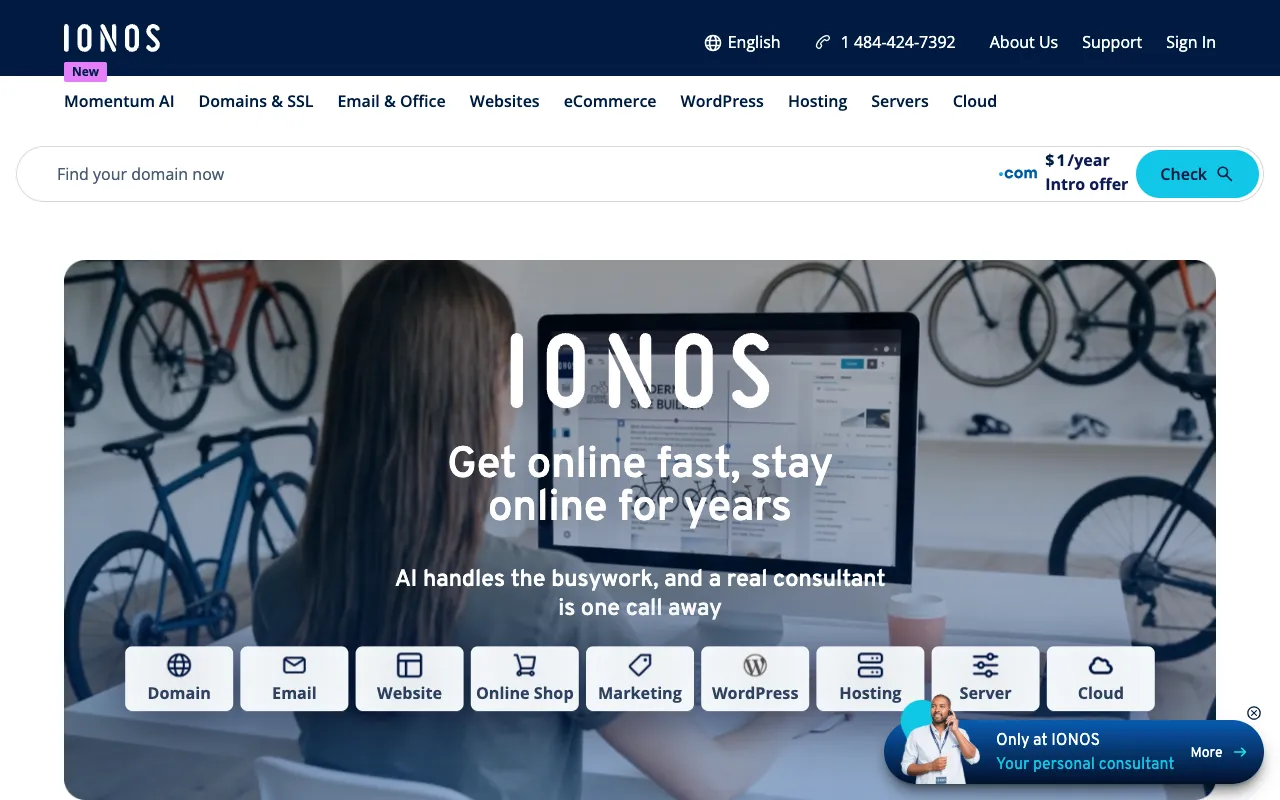IONOS homepage screenshot