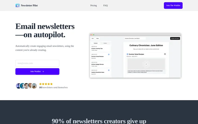 Newsletter Pilot website screenshot