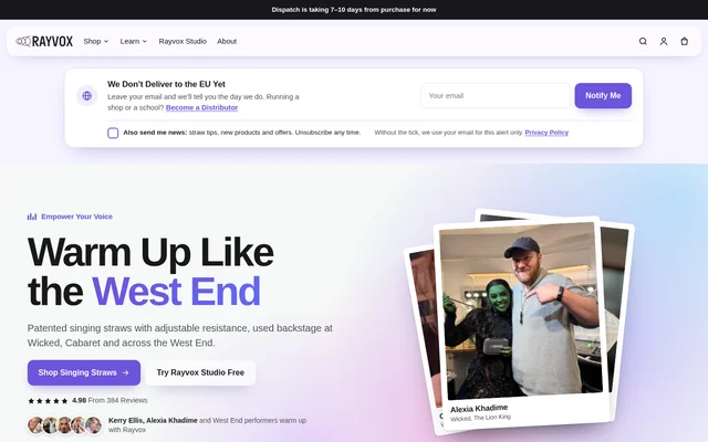 Rayvox Studio website screenshot