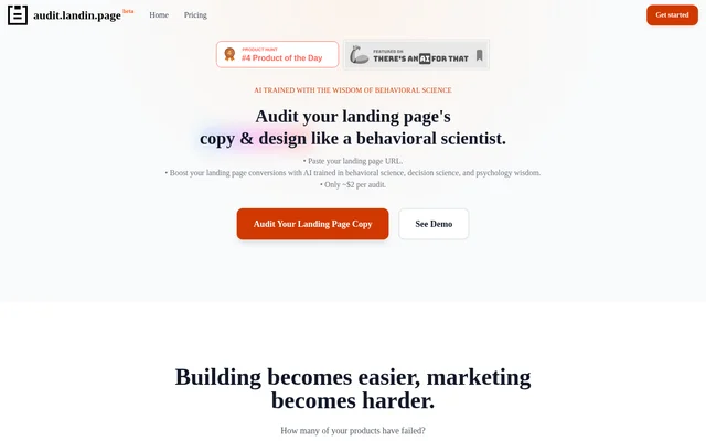 Audit Landing Page website screenshot