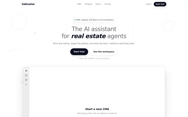 Saleswise website screenshot